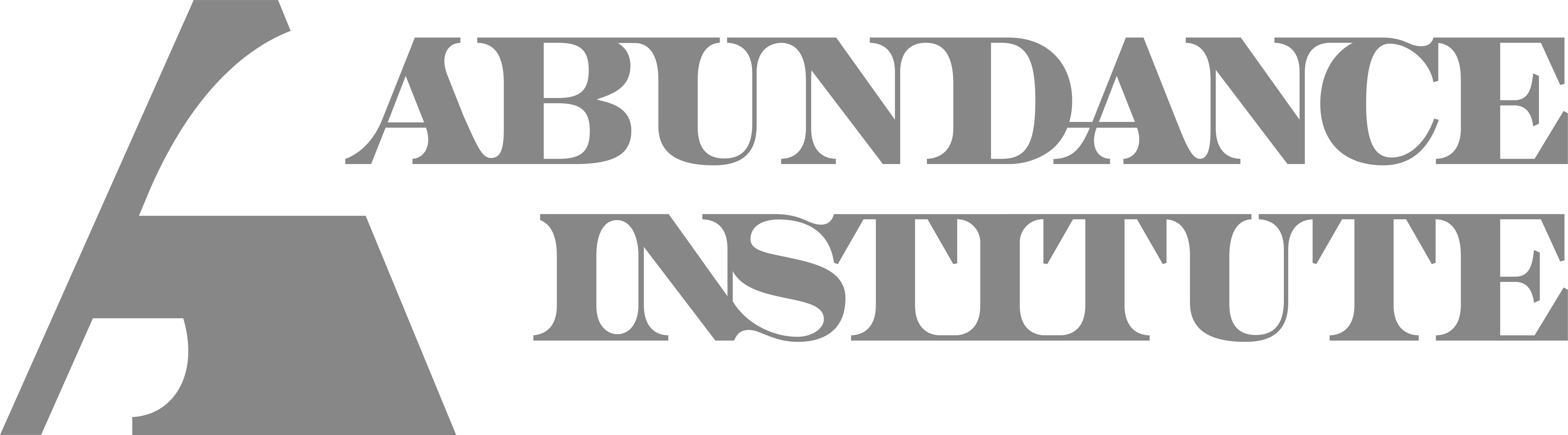 Abundance Institute